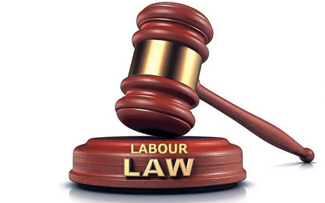 Law Service